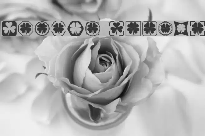 Clover Things Font examples