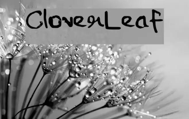 CloverLeaf Font examples