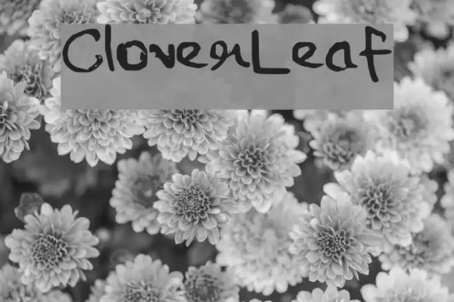 CloverLeaf Font examples
