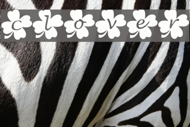 Clover Example 2