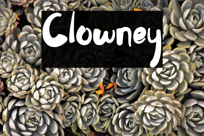 Clowney Font examples