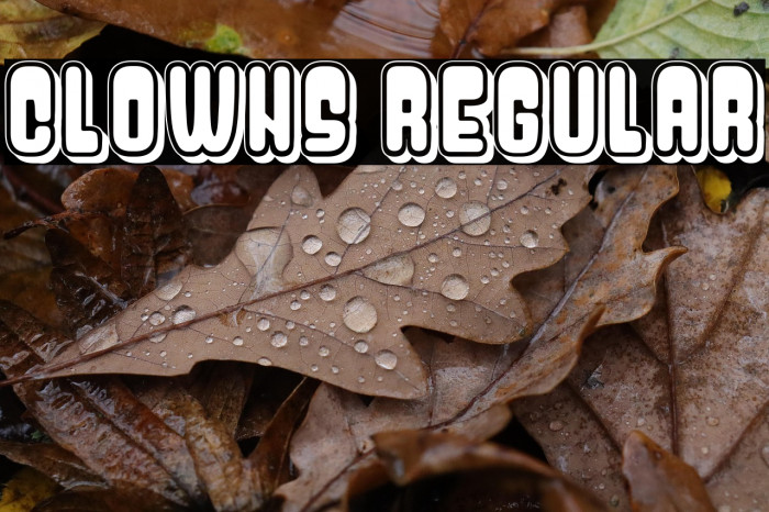 Clowns Regular Example 3