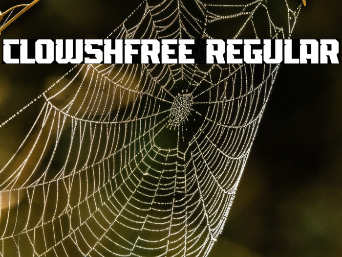 Clowsh-Free Regular Example 1