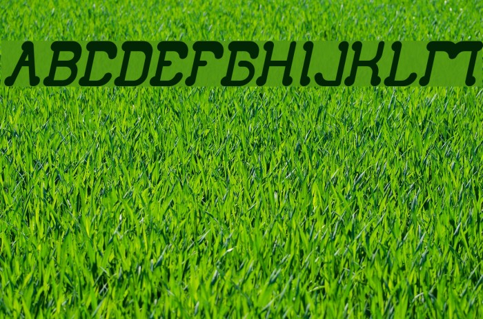 Club Golf Bold Italic Example 1