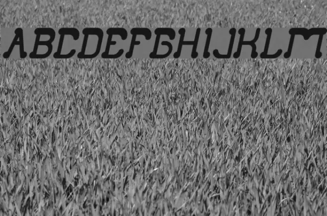 Club Golf Bold Italic Font examples