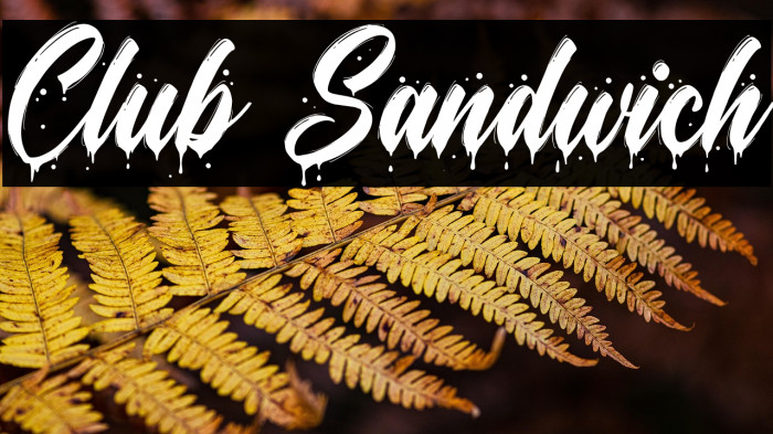 Club Sandwich Example 2