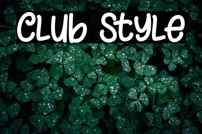 Club Style Example 2