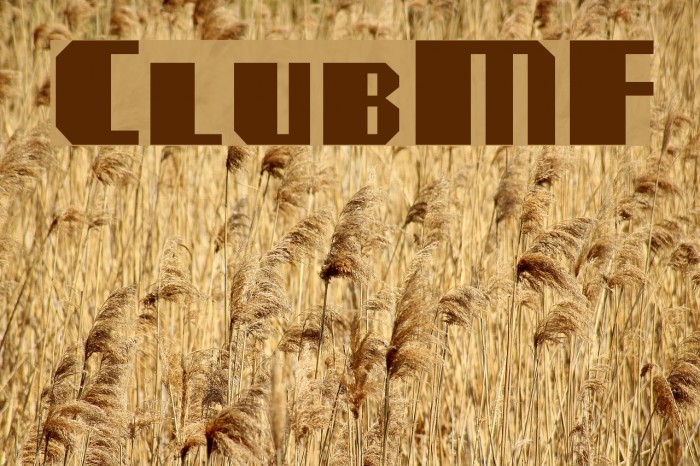 ClubMF Font examples