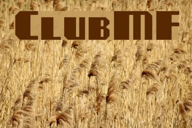 ClubMF Example 1