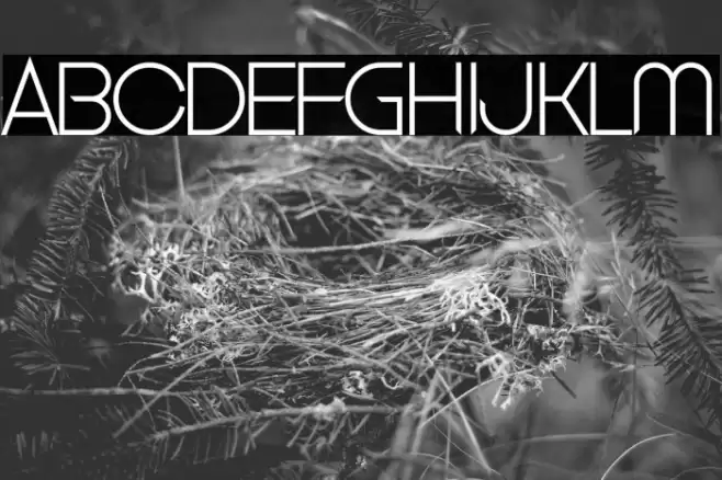 Clubbed to Life Font examples