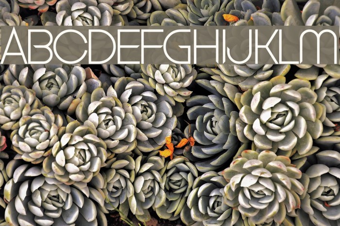 Clubbed to Life Font examples