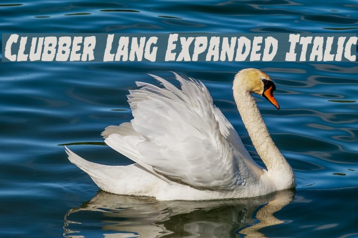 Clubber Lang Expanded Italic Font examples