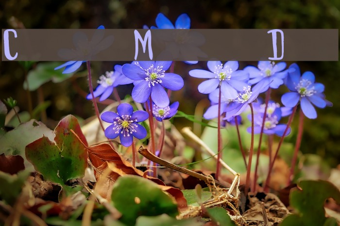 Clumsy Matilda Demo Font examples