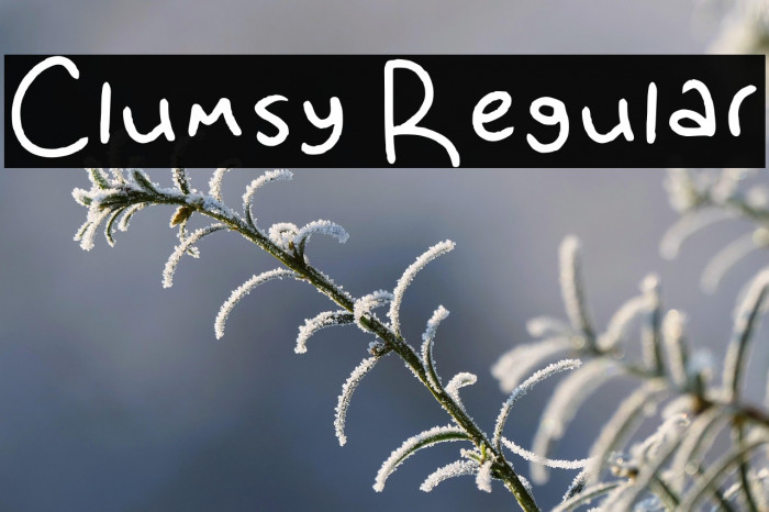 Clumsy Regular Example 1