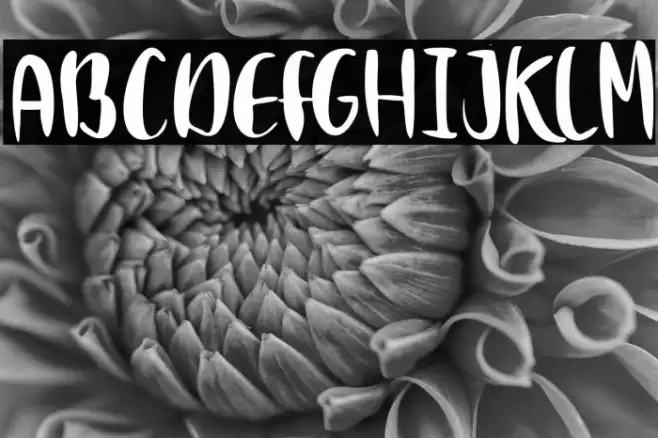 Clumsy White Font examples