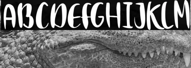 Clumsy White Font examples