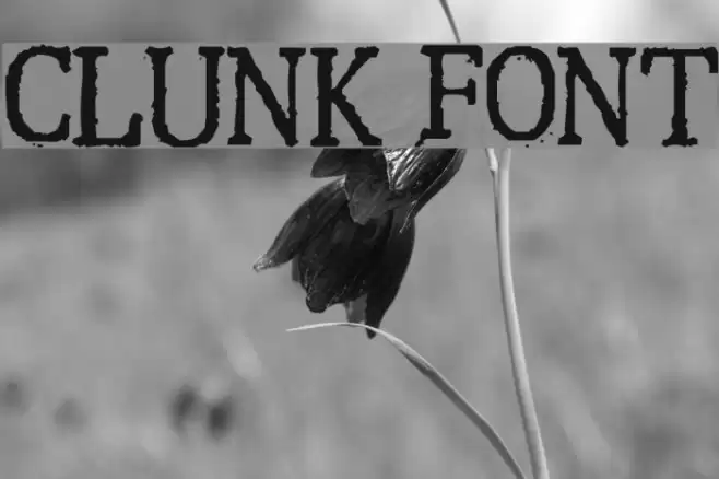 Clunk Fuentes examples