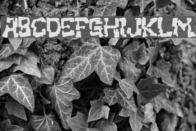 Clunky Font examples