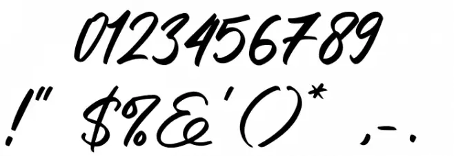 Clusive Font OTHER CHARS