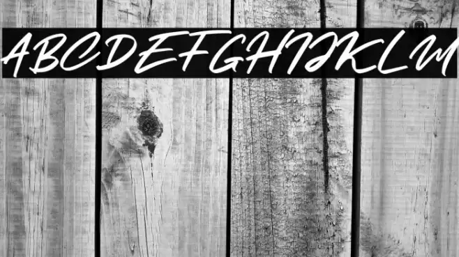 Clusive Font examples