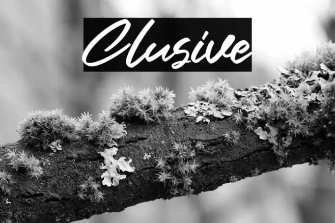 Clusive Font examples
