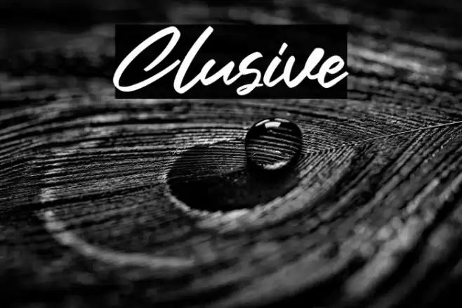 Clusive Font examples