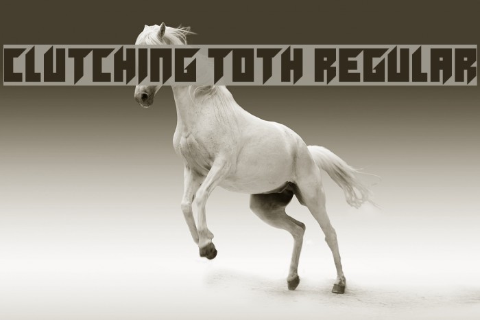 Clutching Toth Regular Example 1