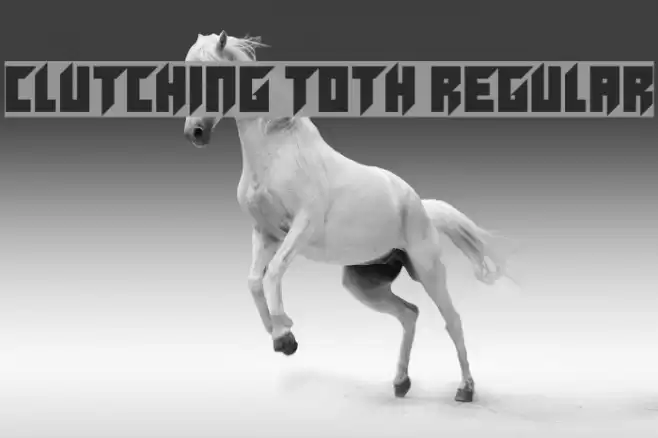 Clutching Toth Regular Font examples