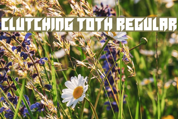 Clutching Toth Regular Example 2