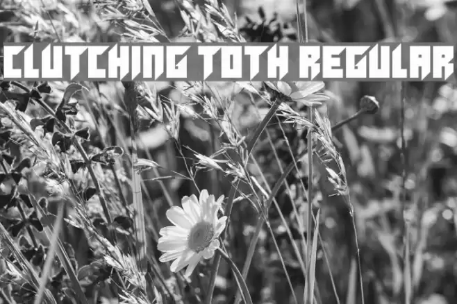 Clutching Toth Regular Font examples