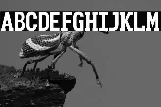 Clutsy Font examples