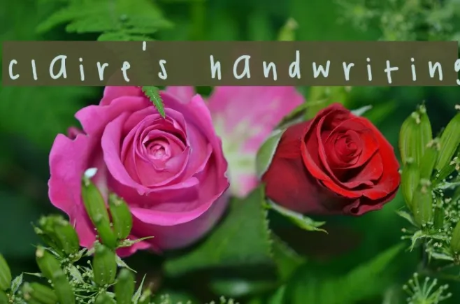 Clare Lettering Styles claire's handwriting Font | Free Download (TTF/OTF) | FFonts.net