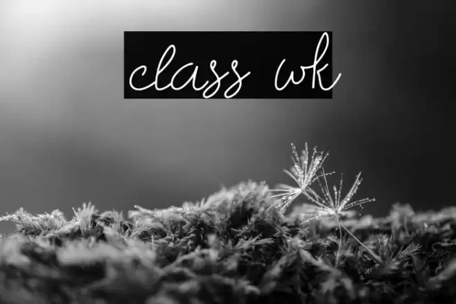 class wk Font examples