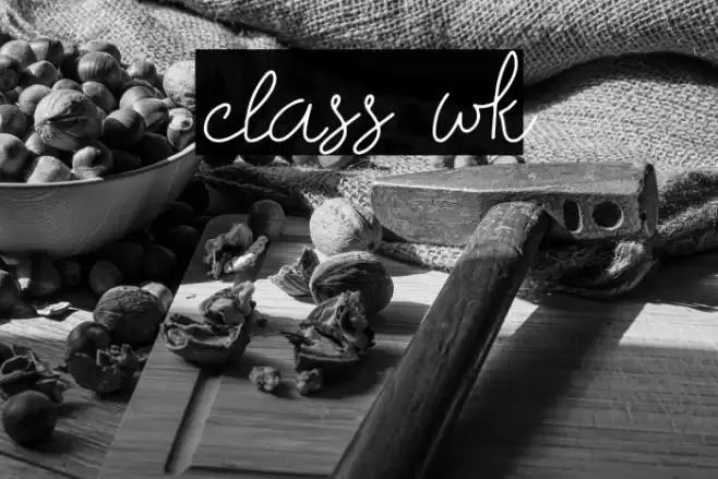 class wk Font examples