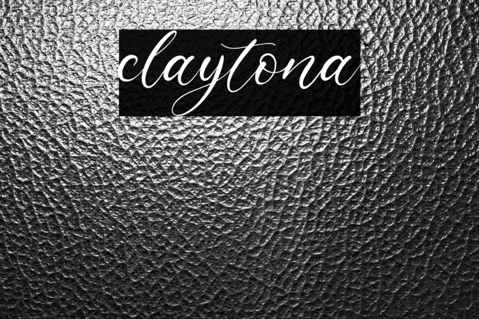 claytona Example 3