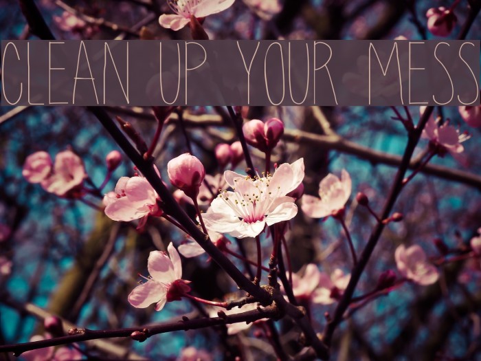 clean up your mess Font examples