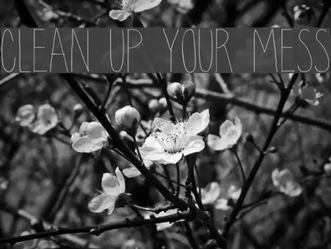 clean up your mess フォント examples