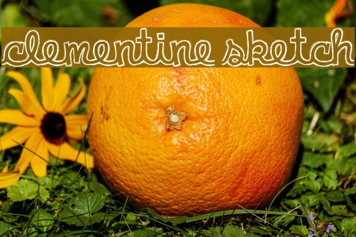 clementine sketch Font examples