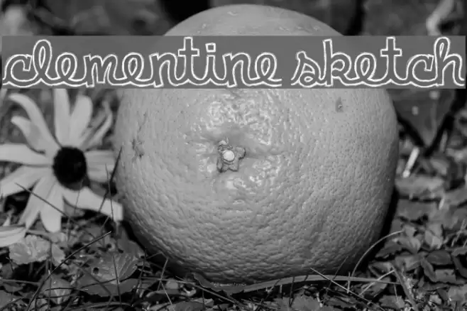 clementine sketch Font examples