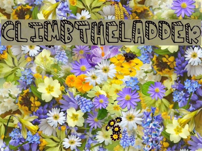 climbtheladder Font examples