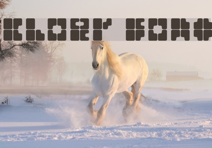 cloer Font examples