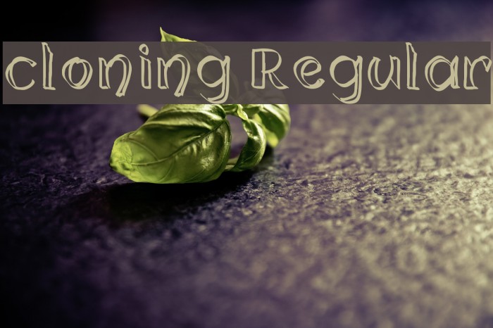 cloning Regular Font examples