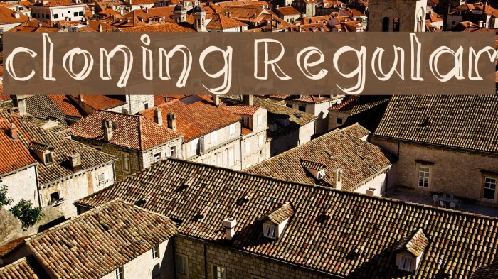 cloning Regular Font examples