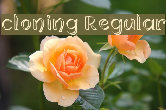 cloning Regular Font examples