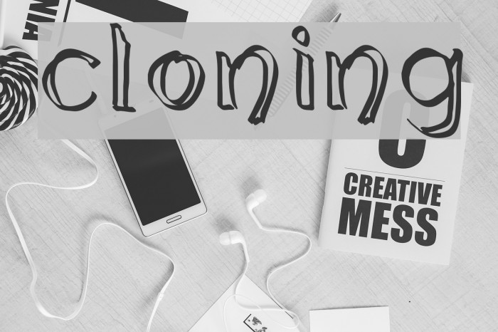cloning Font examples