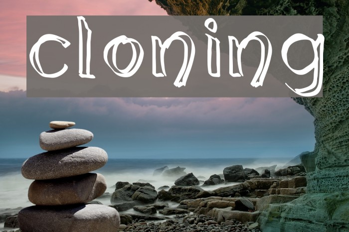 cloning Font examples