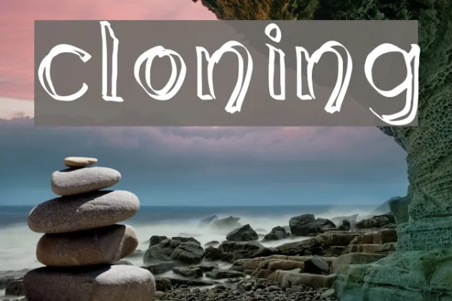 cloning Example 2