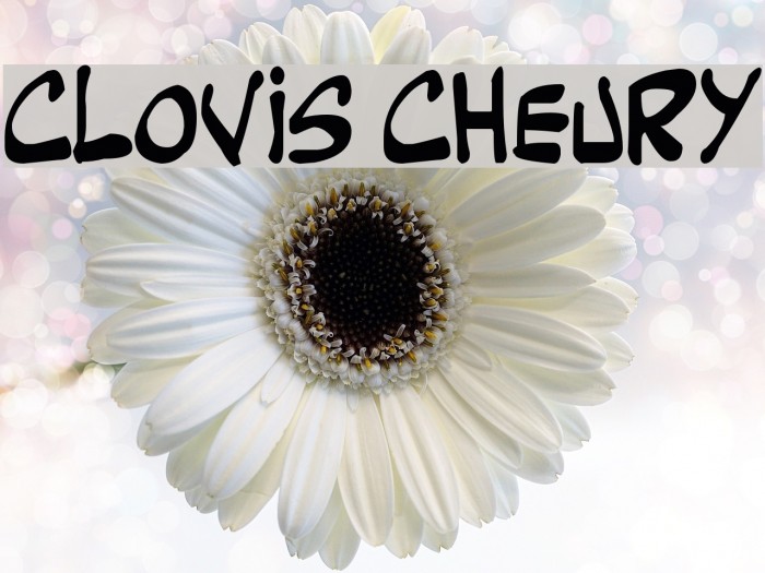 clovis cheury Example 1