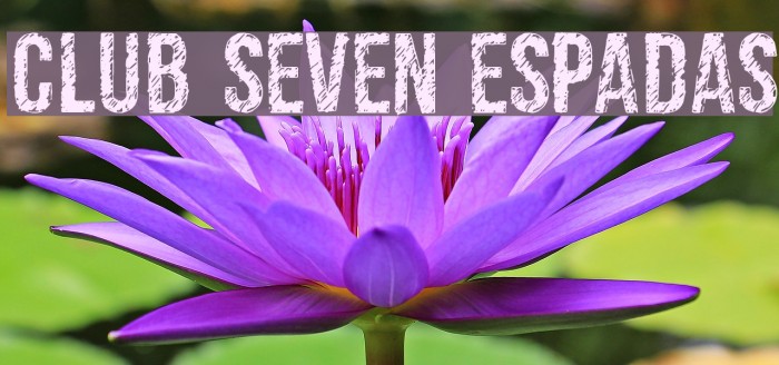 club seven espadas Font examples
