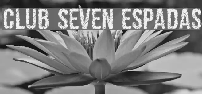 club seven espadas Font examples